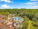 Aerial view of community pool surrounded by palm trees and lounge chairs at 19055 Lone Creek Ct, Land O Lakes, FL 34638