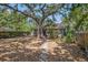 Charming backyard features a large tree providing ample shade, creating a serene outdoor space at 3115 W Wyoming Ave, Tampa, FL 33611