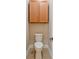 Small powder room featuring an above-toilet storage cabinet at 3254 Grassglen Pl, Wesley Chapel, FL 33544