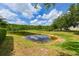 Scenic view of the pond, surrounded by trees and vegetation, showcasing a tranquil setting at 3254 Grassglen Pl, Wesley Chapel, FL 33544