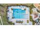 Overhead view of the community pool showcasing pristine blue water, lounge areas, and lush landscaping at 4550 Globe Thistle Dr, Tampa, FL 33619