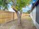 Fenced backyard featuring mature tree and lush greenery, providing an outdoor oasis at 9201 Spy Glass Ct, Tampa, FL 33615