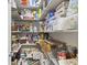 Walk-in pantry with lots of storage at 9723 Rolling Cir, San Antonio, FL 33576