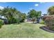 Expansive lawn with tropical trees and plants, showcasing the perfect backyard space at 12933 90Th Ave, Seminole, FL 33776