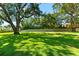 Grassy backyard is bordered by tall hedges and has a large shade tree with a tree house at 1600 Magnolia Rd, Belleair, FL 33756