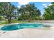 A kidney shaped pool with a spa and a stone deck surrounded by green trees and shrubs at 1600 Magnolia Rd, Belleair, FL 33756