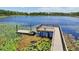 Beautiful lake view featuring a private dock and scenic lily pads along the tranquil waterfront at 1741 Cherry Walk Rd, Lutz, FL 33558