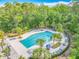 Aerial view of the community pool, complete with lounge chairs and palm trees at 17683 Ramble On Way, Land O Lakes, FL 34638