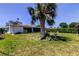 Spacious backyard with a large palm tree, green lawn, and a view of the home's screened-in patio at 179 85Th N Ave, St Petersburg, FL 33702