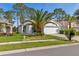 Charming home with a well-manicured lawn, mature palm trees, and a concrete driveway at 23935 Coral Ridge Ln, Land O Lakes, FL 34639