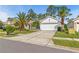 Charming home with a well-manicured lawn, mature palm trees, and a concrete driveway at 23935 Coral Ridge Ln, Land O Lakes, FL 34639