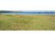 Backyard area with green grass that leads to a beautiful bay at 2700 Bayshore Blvd # 511, Dunedin, FL 34698