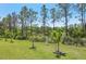 Spacious backyard, featuring lush greenery, landscaping and a tranquil lake in the distance at 2803 130Th E Ave, Parrish, FL 34219