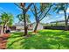 Expansive backyard with lush green grass, mature trees, and a patio dining area, ideal for outdoor living at 3914 W Cleveland St, Tampa, FL 33609