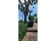 Mature landscaping and brick pavers add charm to the home at 3914 W Cleveland St, Tampa, FL 33609