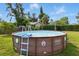The backyard features a Coleman above ground pool with ladder access at 4100 1St S Ave, St Petersburg, FL 33711
