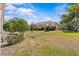 Expansive backyard featuring a well-maintained lawn and views of the neighboring properties at 4105 Bismarck Palm Dr, Tampa, FL 33610