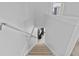 Carpeted staircase leading downstairs, providing access to the living area at 4105 Bismarck Palm Dr, Tampa, FL 33610