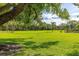 Expansive green space with mature trees offering shade, creating a serene and inviting atmosphere at 4306 La Mora Ct, Tampa, FL 33611