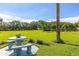 Inviting picnic area on lush green lawn, perfect for outdoor relaxation and community gatherings at 4306 La Mora Ct, Tampa, FL 33611