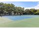 Well-maintained blue and green tennis courts surrounded by trees, offering a great recreational amenity at 4306 La Mora Ct, Tampa, FL 33611