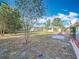 Expansive backyard featuring a mix of grass and trees, providing a serene outdoor space at 5100 Aragon S Way, St Petersburg, FL 33705