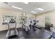 Community fitness center featuring modern treadmills and exercise equipment at 8518 Broken Willow Ct, Tampa, FL 33647