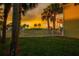 Inviting backyard showcasing the manicured lawn, white picket fence, mature palm trees, and an open view at 8717 Betty St, Port Richey, FL 34668
