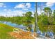 Picturesque dock with calm canal views and lush green surroundings at 8717 Betty St, Port Richey, FL 34668