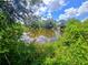 Scenic pond view, framed by lush greenery and a bright blue sky, offering tranquility at 9830 Sheryl Dr, New Port Richey, FL 34654