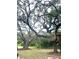 The yard features beautiful, mature trees, creating a serene and shaded outdoor space at 9830 Sheryl Dr, New Port Richey, FL 34654