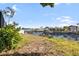 Waterfront backyard featuring lush landscaping and serene canal views at 10716 Donbrese Ave, Tampa, FL 33615