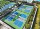 Aerial view of well-maintained tennis and pickleball courts within a vibrant community setting at 11644 Meridian Point Dr, Tampa, FL 33626