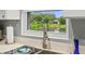 Kitchen sink featuring a stainless steel faucet and a beautiful view of the backyard at 1393 Chesterfield Dr, Dunedin, FL 34698