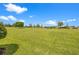 Vast green backyard features mature trees, and other community homes in the distance at 13953 Thoroughbred Dr, Dade City, FL 33525