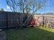 Fenced-in back yard with a tree and green grass at 1512 Chateaux De Ville Ct, Clearwater, FL 33764