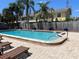 Community pool with several lounge chairs, palm trees, and nice landscaping at 1512 Chateaux De Ville Ct, Clearwater, FL 33764