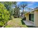 Private backyard with mature palm trees and ample space at 18426 Sterling Silver Cir, Lutz, FL 33549