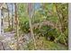 Tropical backyard featuring lush landscaping and a brick patio at 273 Shore Dr, Palm Harbor, FL 34683