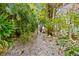 Backyard featuring lush tropical landscaping with trees and stone walkways at 273 Shore Dr, Palm Harbor, FL 34683