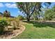 Landscaped backyard featuring a large, mature tree and green grass at 3060 Sutton Woods Dr, Plant City, FL 33566