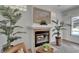 Living room fireplace with decorative tile surround flanked by lush potted plants at 3060 Sutton Woods Dr, Plant City, FL 33566