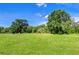 Expansive grassy field with mature trees, perfect for building a dream home at 37348 Tucker Rd, Zephyrhills, FL 33541