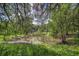 Marshy land with lush green grasses and trees, a natural oasis at 37348 Tucker Rd, Zephyrhills, FL 33541