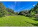 Flat, grassy lot surrounded by trees, offering a great opportunity for new construction at 37348 Tucker Rd, Zephyrhills, FL 33541
