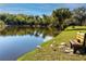 Scenic pond view with wildlife and a bench for peaceful relaxation at 4215 E Bay Dr # 1806D, Clearwater, FL 33764