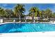 Inviting swimming pool surrounded by palm trees, with plenty of lounge chairs for residents at 4215 E Bay Dr # 1806D, Clearwater, FL 33764