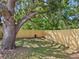 Fenced backyard featuring mature trees, grass, and a privacy fence at 4937 Steel Dust Ln, Lutz, FL 33559