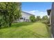 Spacious backyard with lush green grass and a surrounding fence for privacy at 17537 Brighton Lake Rd, Land O Lakes, FL 34638