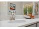Close-up of a bathroom vanity featuring a white marble countertop and decorative plants at 17537 Brighton Lake Rd, Land O Lakes, FL 34638